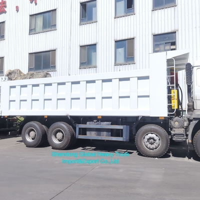 양호한 상태 8*4 10륜 380HP 수동 디젤 덤프 트럭 광산용 유로3 Shacman F3000 덤프 트럭