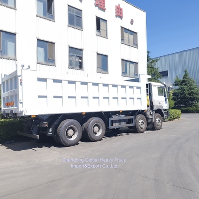 Shacman F3000 X3000 FAW 벤츠 공장 덤프 트럭 팁 트럭 화물 운송 트럭