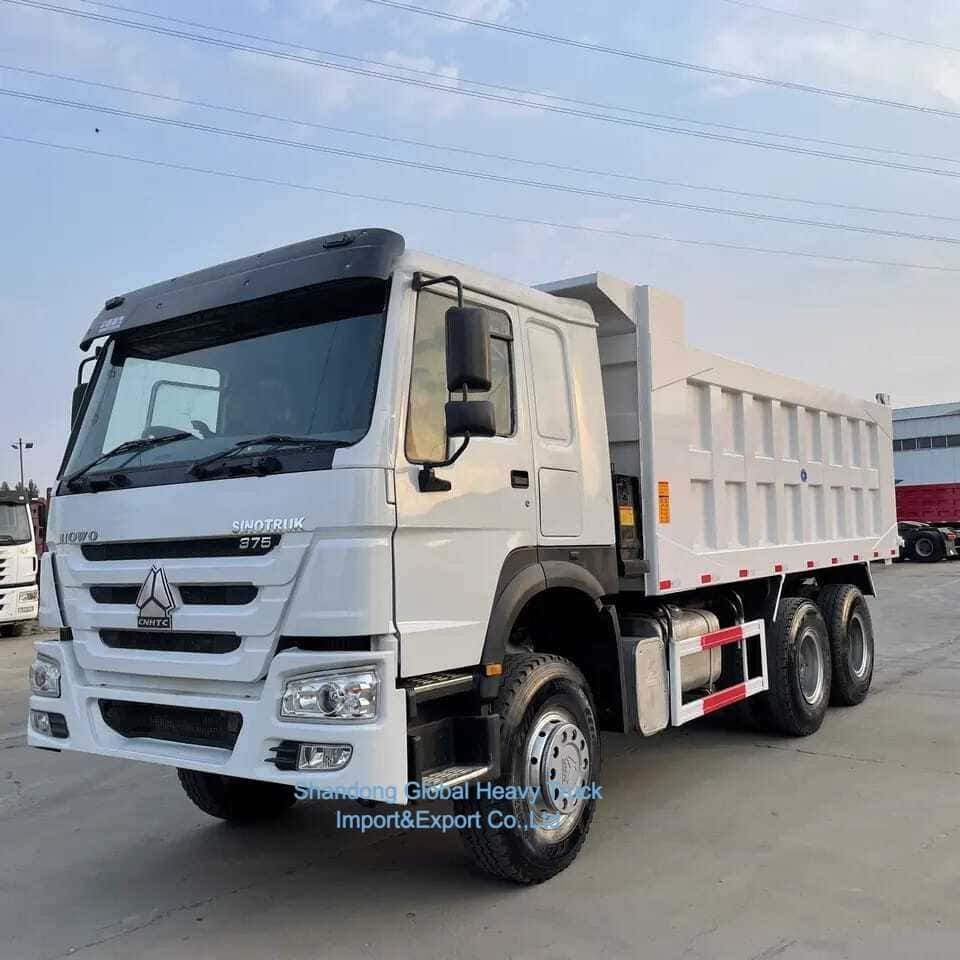 중고 32 30 35 톤 트럭 티퍼 디젤 중고 Sinotruck HOWO 6X4 덤프 트럭